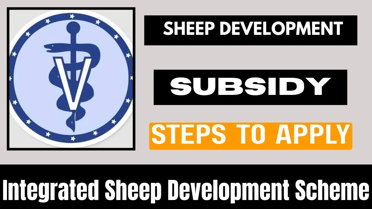 Integrated Sheep Development Scheme 2026